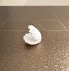 seashell-tiny-V1