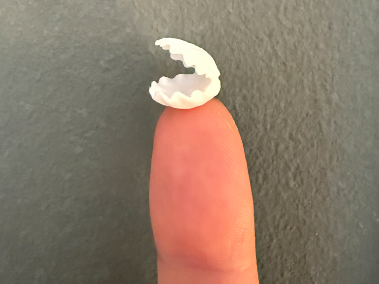 Tiny Seashell