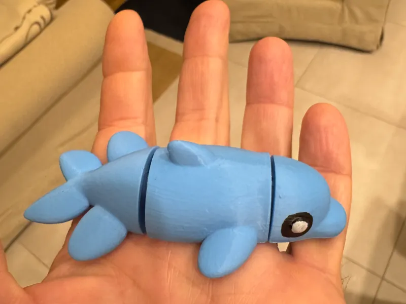 Piccolo delfino flexi