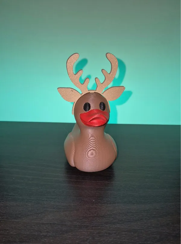 https://makerworld.bblmw.com/makerworld/model/US6313c426be1740/design/2024-11-16_f5805be6642948.jpg
