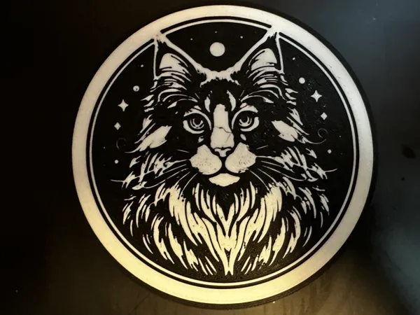 https://makerworld.bblmw.com/makerworld/model/US6314260253b1a3/design/2024-05-05_fef7a8fc27a0c.jpg