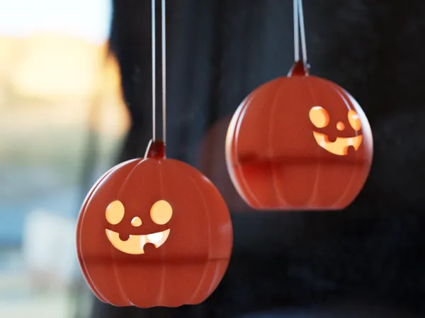 https://makerworld.bblmw.com/makerworld/model/US63156372f8a1c1/design/2025-10-19_8d3fb985025d18.png
