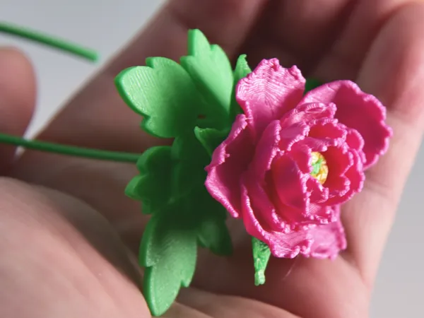https://makerworld.bblmw.com/makerworld/model/US6315c442ce4a65/design/2025-11-03_2e2870e69e59a.jpg