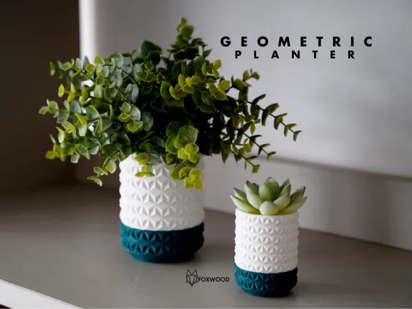 https://makerworld.bblmw.com/makerworld/model/US6315f166bce4d4/design/2025-10-17_6cd2b2b2904248.jpg