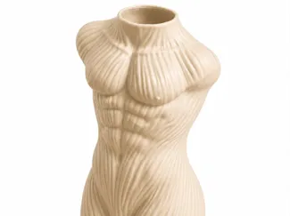 Vase Torso Mann