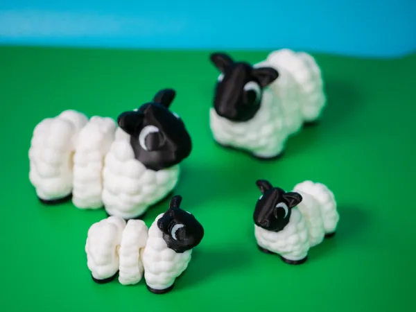 https://makerworld.bblmw.com/makerworld/model/US6321f4f9dd28f1/design/6c230d2c07b29675.jpg