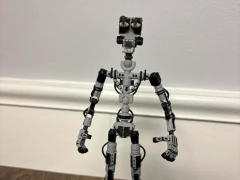 https://makerworld.bblmw.com/makerworld/model/US6324502439b924/design/b8771fa55aad796a.jpg