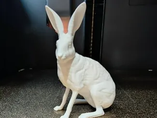 Welsh Hare