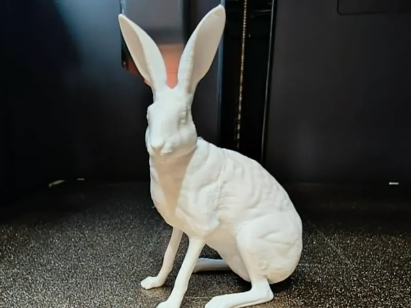 Welsh Hare