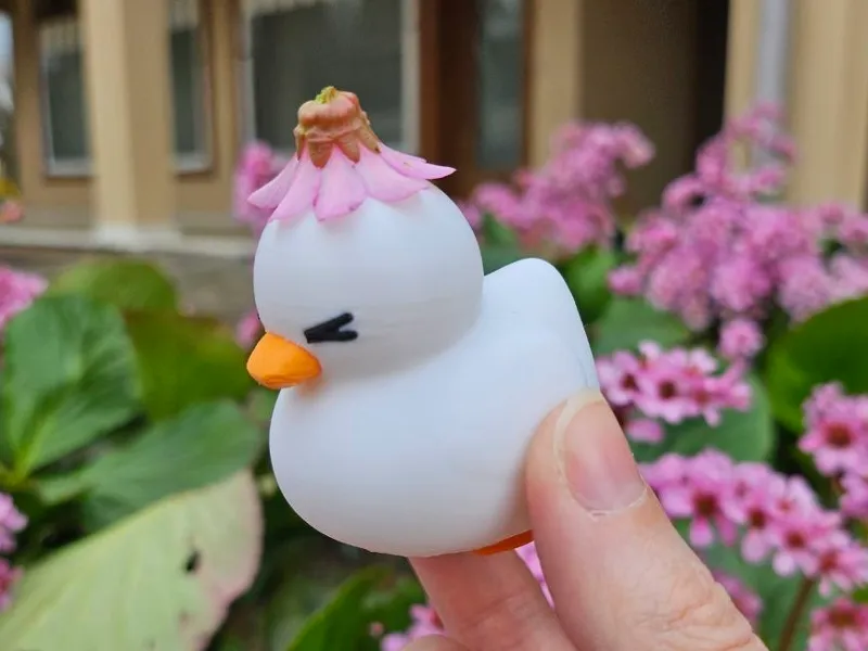 GrumpDuck - Cute Angry Duck