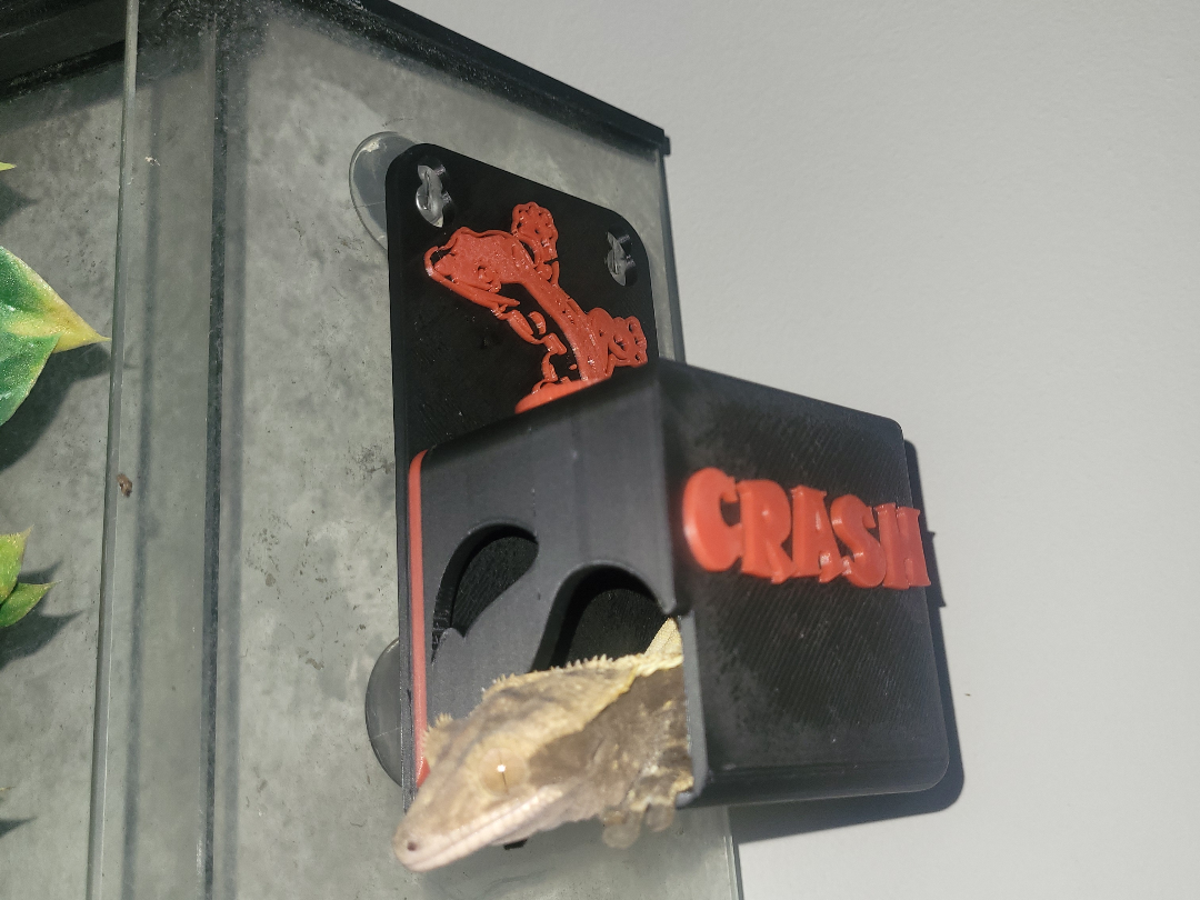 Crested Gecko Hide and Food Ledge