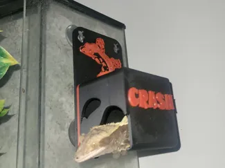 Crested Gecko Hide and Food Ledge