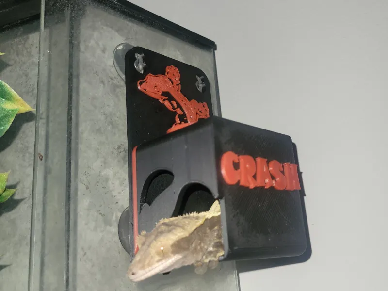 Crested Gecko Hide and Food Ledge