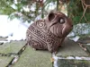 5CM GUINEA PIG SMALL