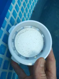 0.2mm layer, 4 walls, 10% infill