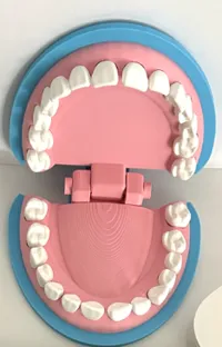 Single teeth profiles with bigger cavities
