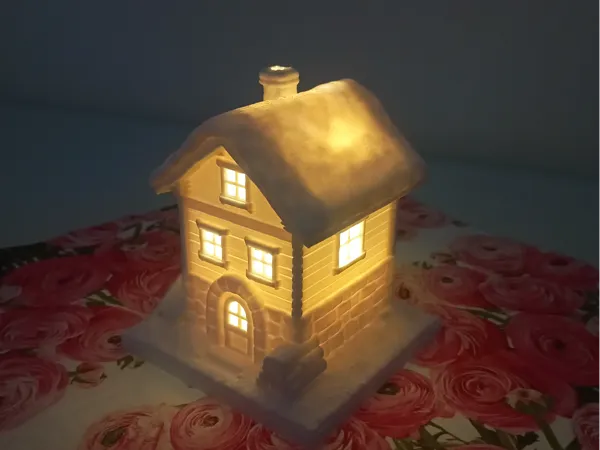 https://makerworld.bblmw.com/makerworld/model/US633079590778ff/design/2026-01-01_eb2135ac42f708.jpg