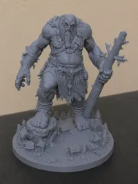 0.08mm layer, 2 walls, 5% infill