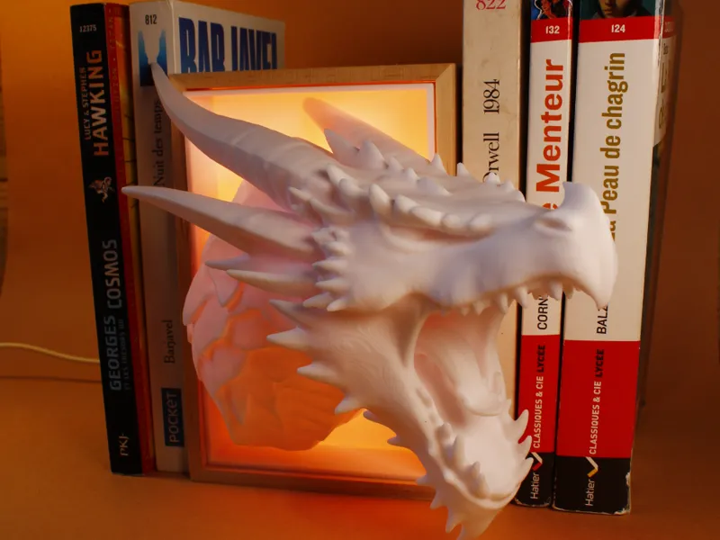 Dragon Book Nook !