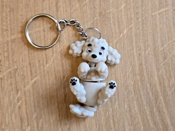 https://makerworld.bblmw.com/makerworld/model/US6336b4901be17/design/c9b21f662a671148.jpg