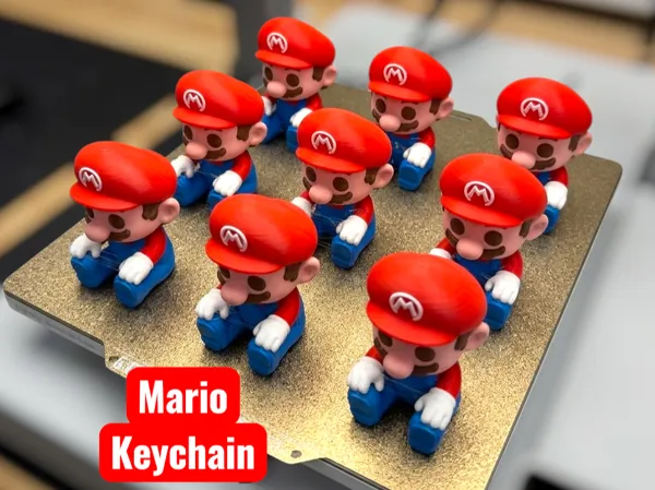 https://makerworld.bblmw.com/makerworld/model/US63382841393788/design/8cf7d9dee8a2c5b9.png