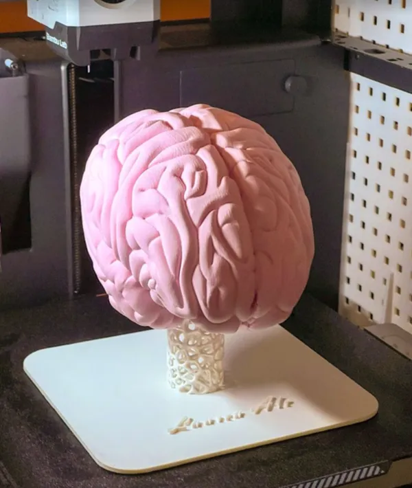https://makerworld.bblmw.com/makerworld/model/US633851472f69aa/design/2023-11-03_208295699f439.png