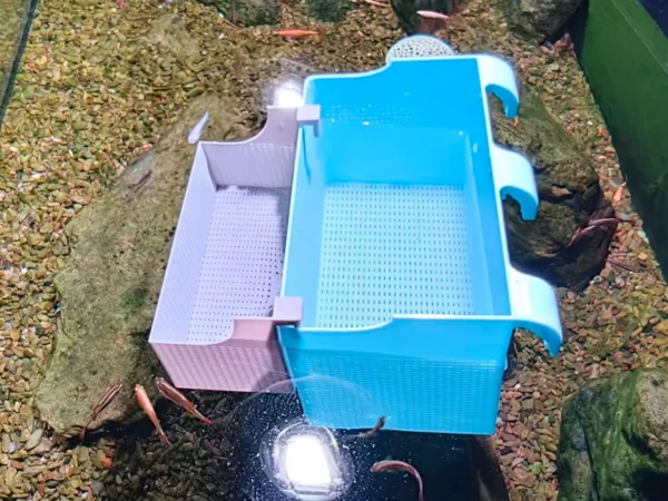 https://makerworld.bblmw.com/makerworld/model/US6338d6e68266c6/design/289859be33dd00a5.jpg