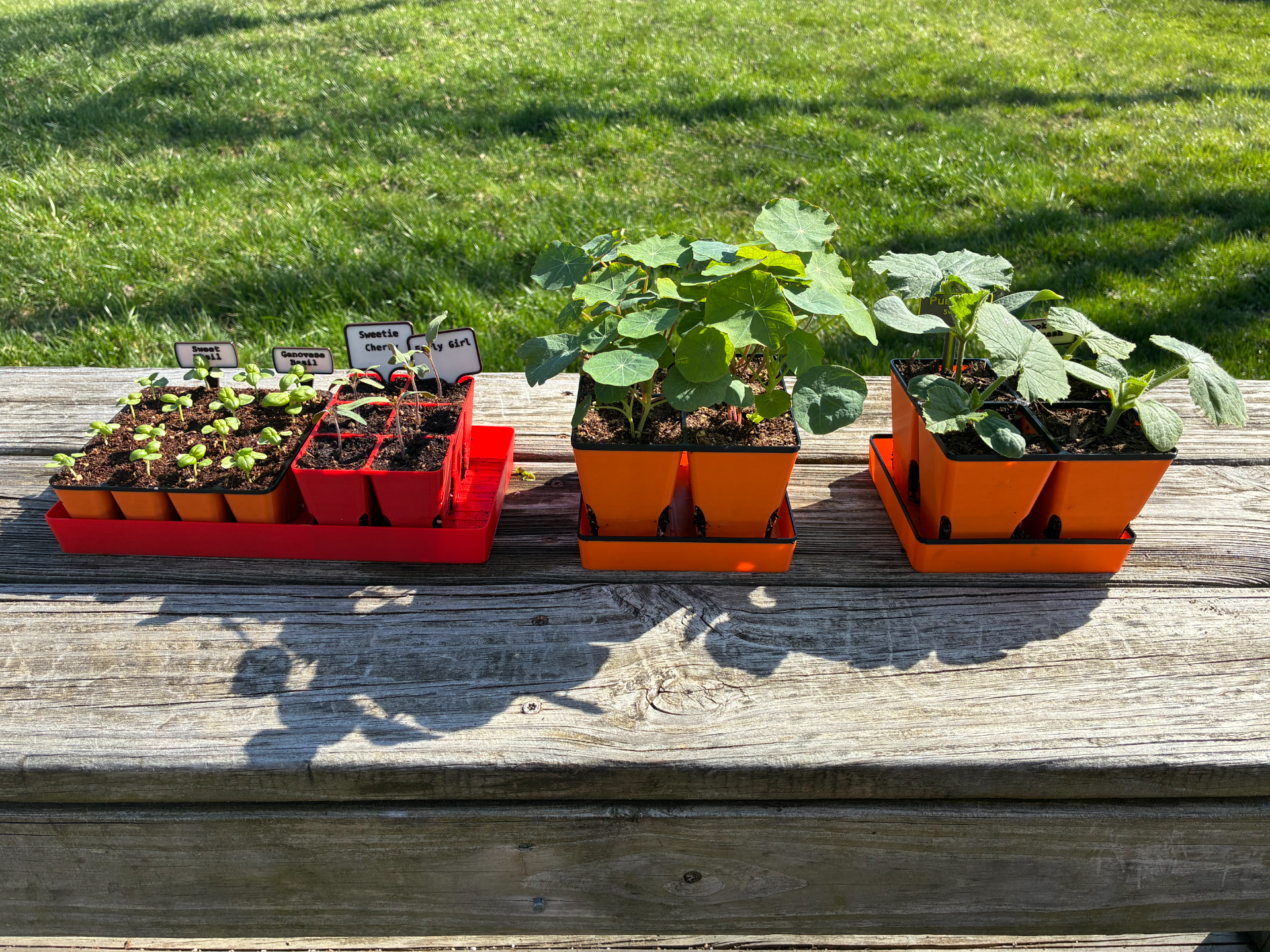 Seed Starting Trays and Accessories