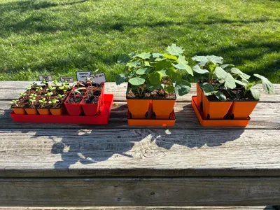 Seed Starting Trays and Accessories
