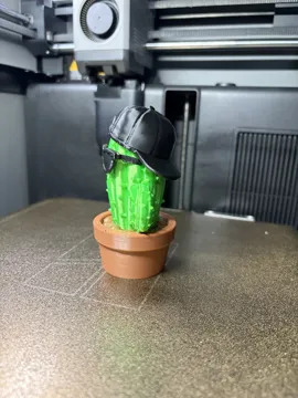 Tapa o cubierta: Cool Cactus – Sunglasses & Cap Decoration — vista de referencia 4