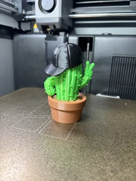 Tapa o cubierta: Cool Cactus – Sunglasses & Cap Decoration — vista de referencia 5