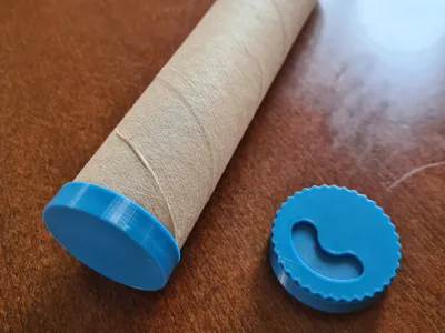 Scottex roll case 