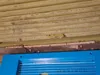 0.28mm layer, 2 walls, 15% infill