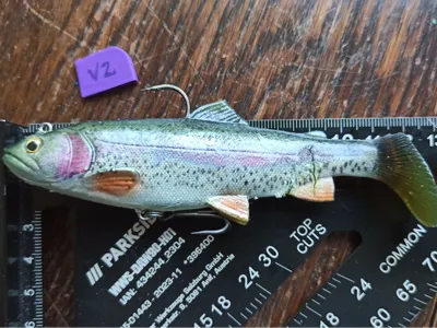 J-Hook cover for soft baits that CLICKS!