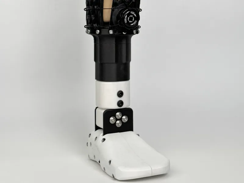 Adjustable Below-Knee Prosthetic Leg - Child