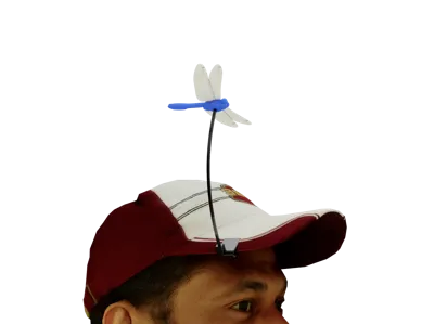 Mosquito-Repelling Dragonfly - Biomimetic Design for Hat Brims
