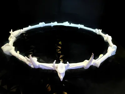 Crow Bones Witch Crown
