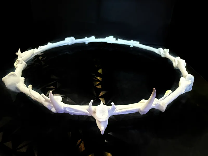 Crow Bones Witch Crown