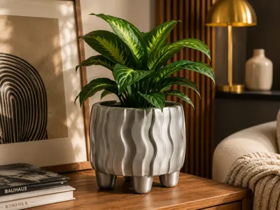 Vaso Aurora Wave