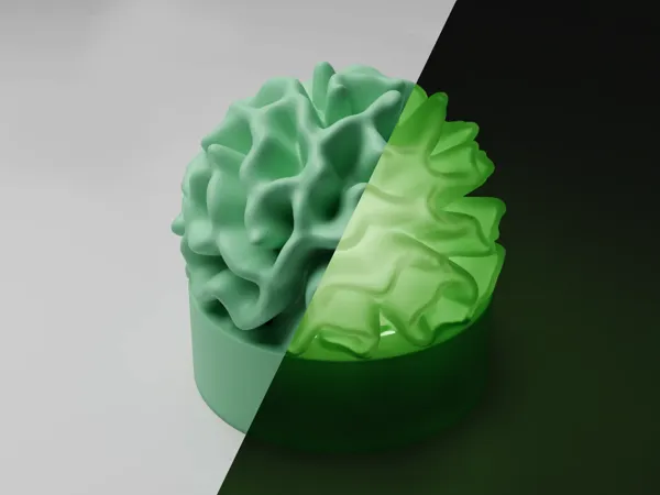 https://makerworld.bblmw.com/makerworld/model/US634b1cef13fe0f/design/2024-11-27_b8498d27880248.webp