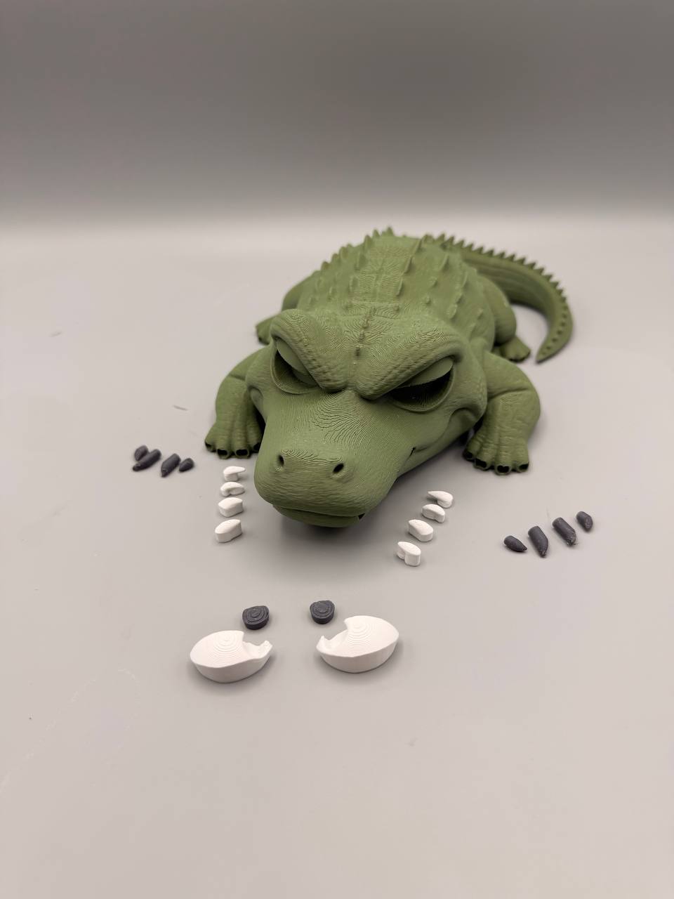 Grumpy Alligator - 1