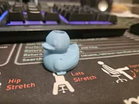 Happy Camper Drawstring Duck/Broom