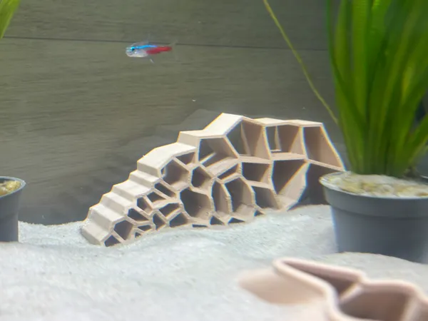 https://makerworld.bblmw.com/makerworld/model/US634f08877a0a04/design/2025-10-02_09d123b22334f8.jpg