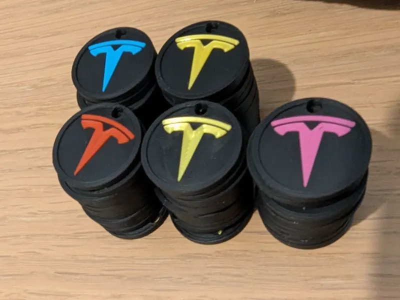 Tesla Owners Club Netherlands coin