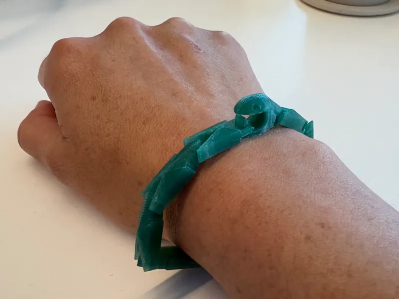 Ouroboracelet