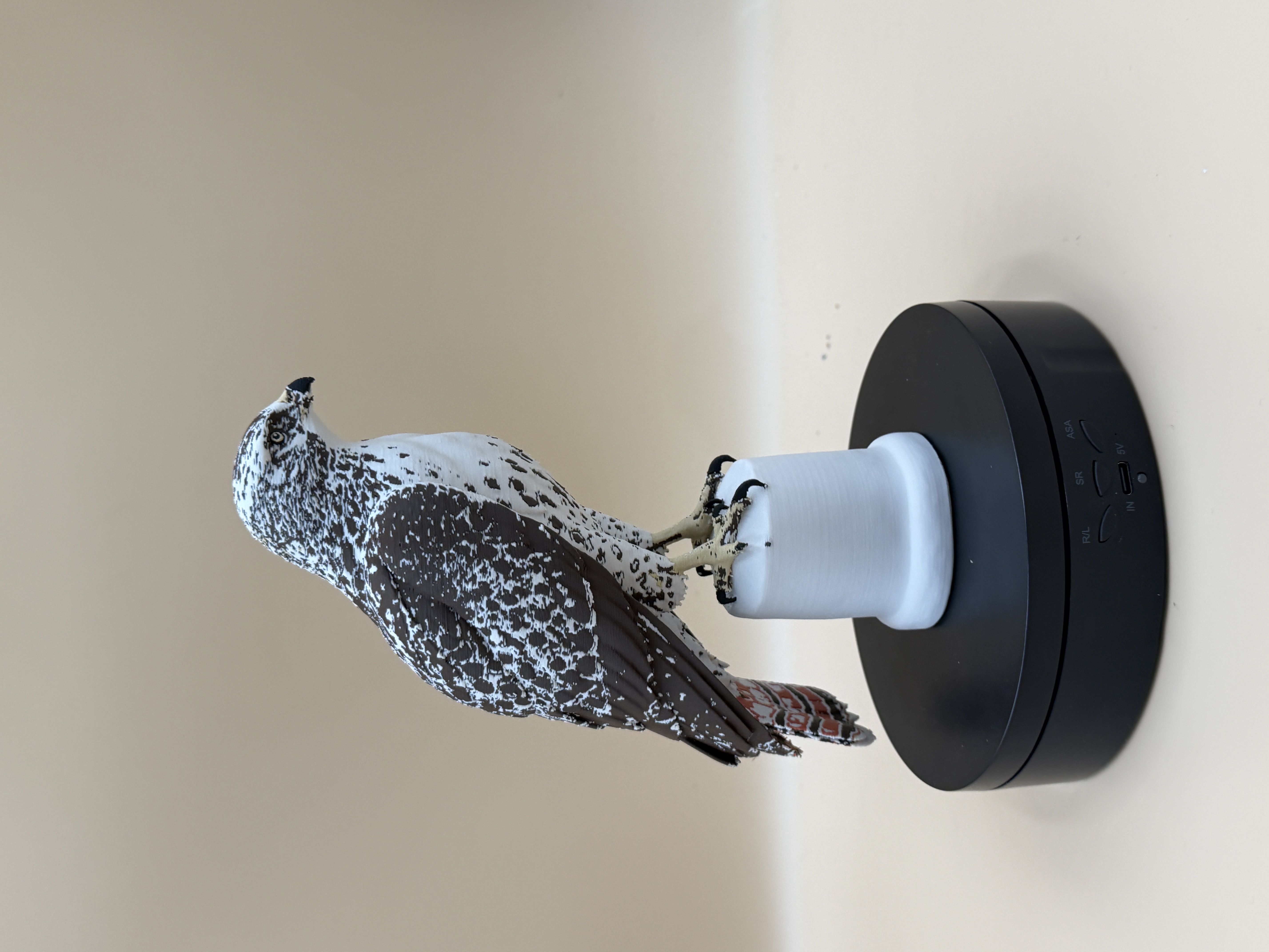 Majestic Red-Tailed Hawk - Free 3D Print Model - MakerWorld