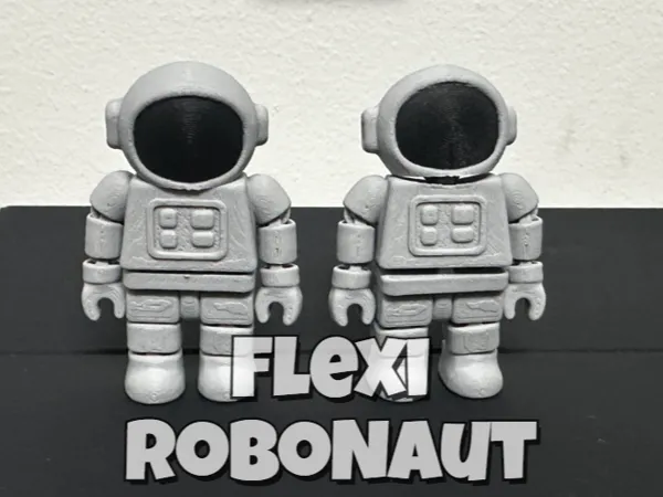 https://makerworld.bblmw.com/makerworld/model/US635558adf2cb22/design/2025-10-28_62a1e0ad046fd8.png
