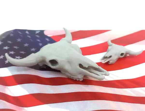 https://makerworld.bblmw.com/makerworld/model/US6355fb5ba6cff8/design/2024-09-23_fadf1b2864beb.png