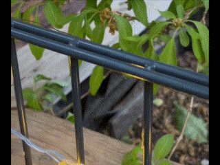 hook for double wire fence 868