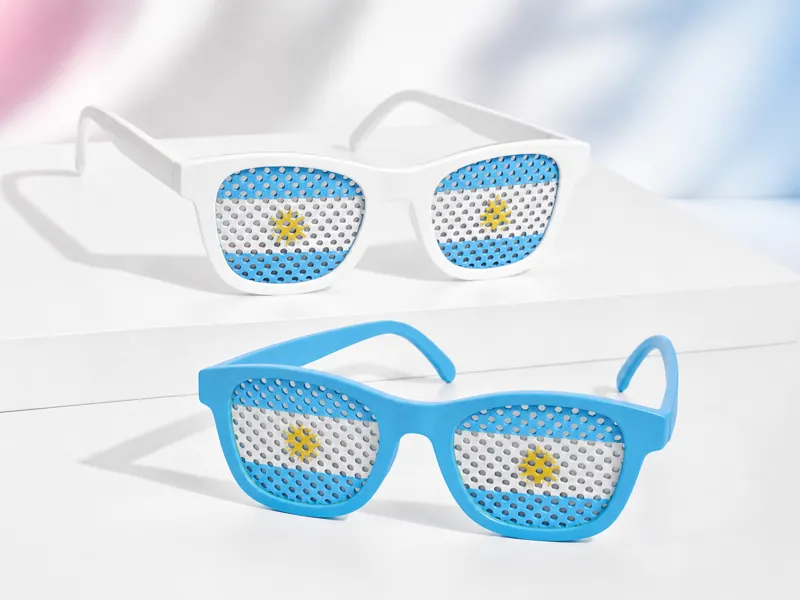 Argentina Fan Glasses Flag
